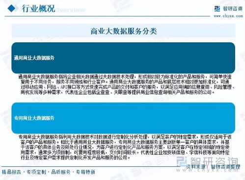 2026年中國商業(yè)大數(shù)據(jù)服務(wù)行業(yè)市場運(yùn)行態(tài)勢分析與未來增長潛力展望